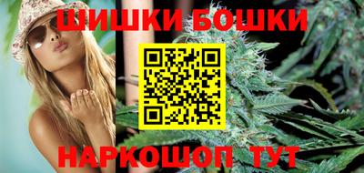 МДПВ Будённовск
