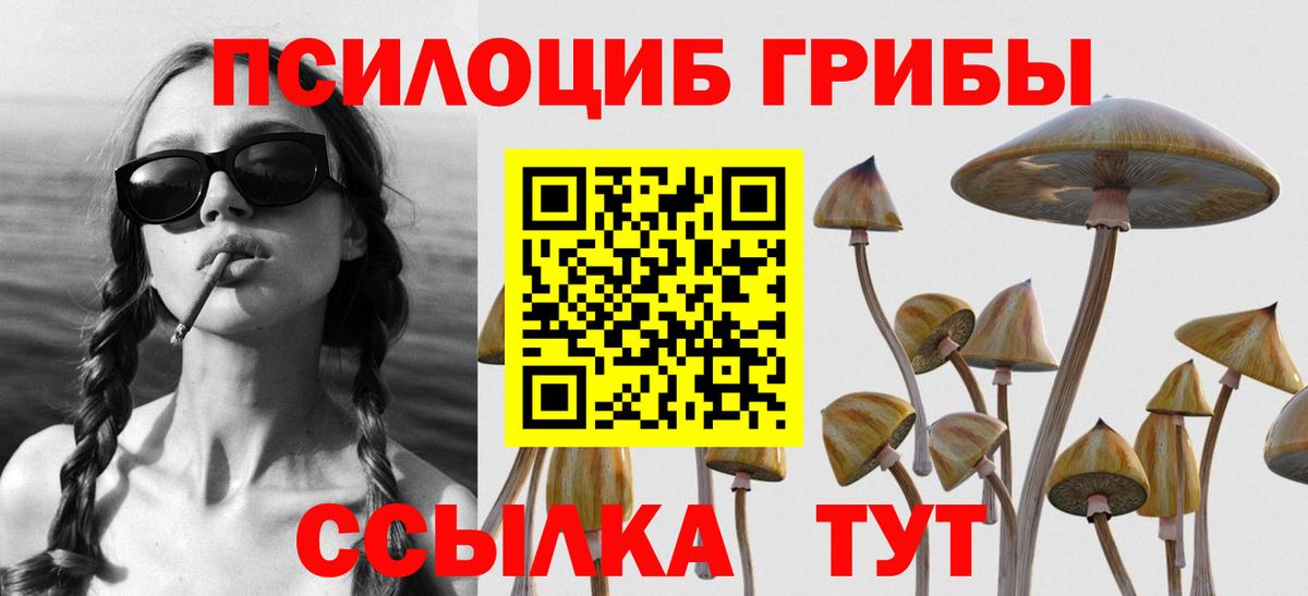 Галлюциногенные грибы ЛСД  Вход с VPN  Татарск  Галлюциногенные грибы Psilocybe 